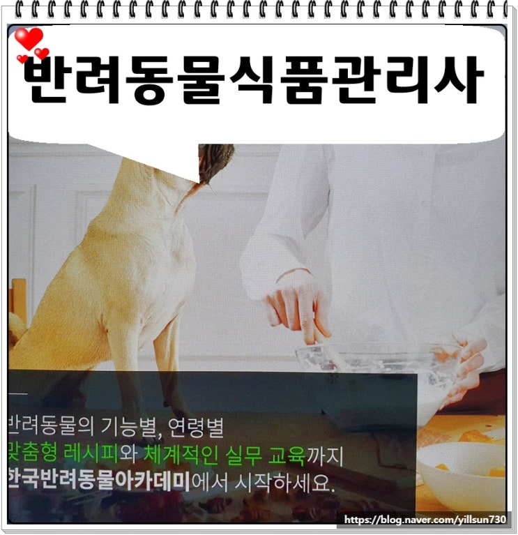 반려동물식품관리사 자격증과 활용 노하우