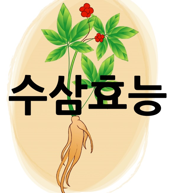  수삼효능