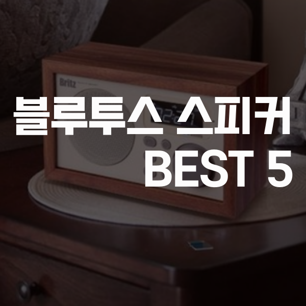  2020년 6월 블루투스 스피커 판매순위 BEST 5