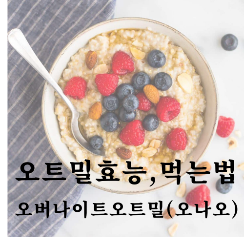  오트밀, 압착귀리 효능 및 먹는법(오나오, 오트밀죽, 오트밀 누룽지 만들기)