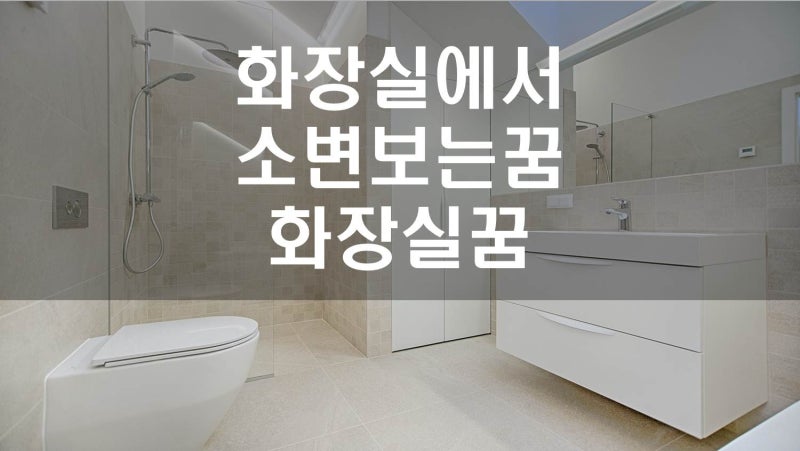 화장실꿈, 더러운 화장실꿈, 화장실을 못찾는꿈, 화장실이 대변으로 가득찬꿈, 화장실 배설....