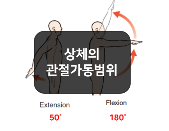 상체의 관절가동범위(ROM, Range of Motion) - 목, 몸통, 어깨, 팔꿈치, 손목