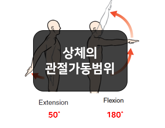  상체의 관절가동범위(ROM, Range of Motion) - 목, 몸통, 어깨, 팔꿈치, 손목