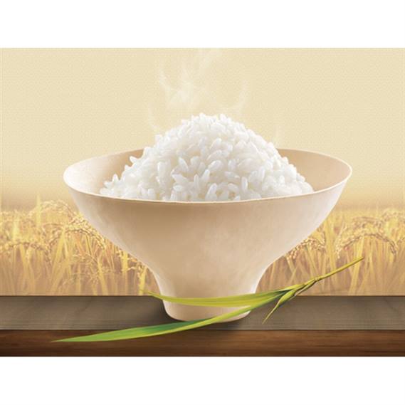 06월 14일 기회제품 햇반 유기농 쌀밥! 인기많은이유