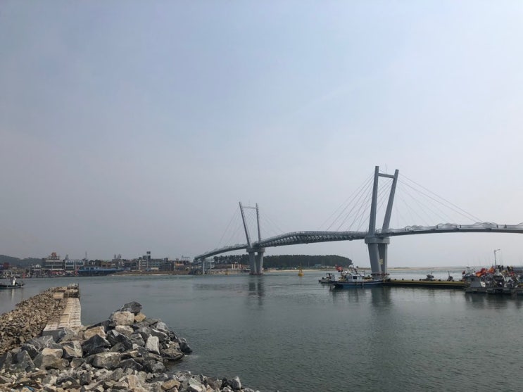  안면도 드르니항 평일에 떠나는 힐링여행