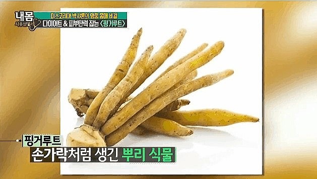 판듀오틴 핑거루트 효능 인도네시아 알약 분말차 먹는법! 3