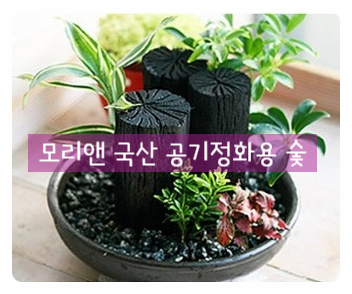  공기정화용 숯 하나로 제습과 가습을 한 번에!(새 집들이 선물로도 강추!)