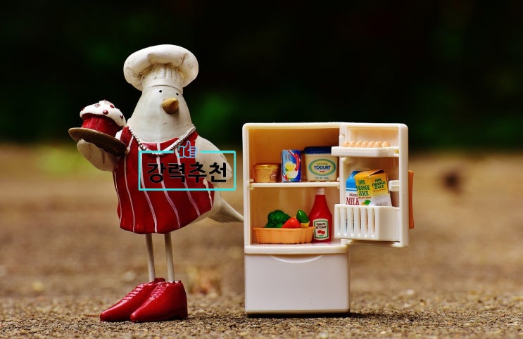  신혼집 냉장고 추천! 어떤게 좋을까요? 삼성비스포크 키친핏  RF61T91R2AP 한번 알아보실까요?