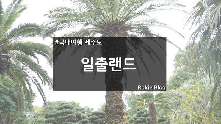  [국내여행] 제주도 일출랜드로 산책 가자