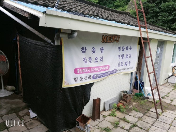  닭백숙,닭볶음탕이 생각날때 도심속 경치좋은 광주 금호동 대봉농장