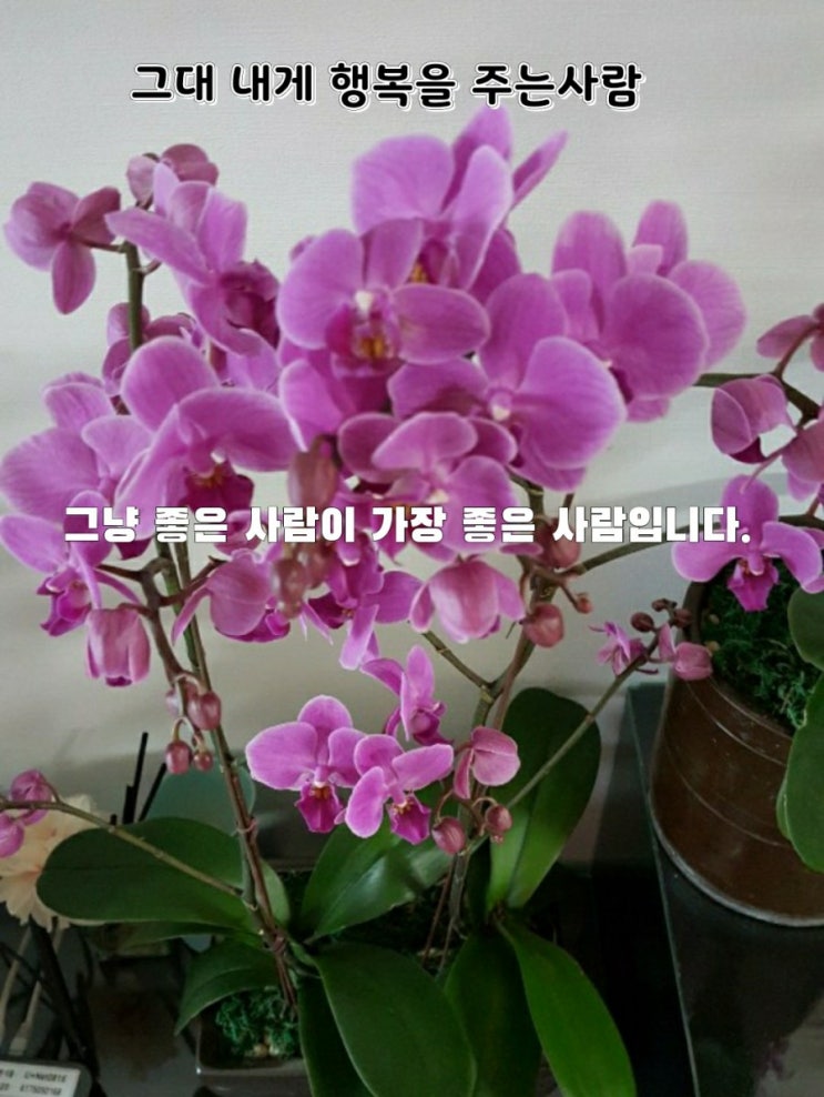 그대 내게 행복을 주는사람