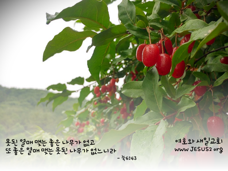 새일교회 이사야 강의 | 38장 히스기야의 수한 연장 새일교회 이사야 강의 | 38장 히스기야의 수한 연장