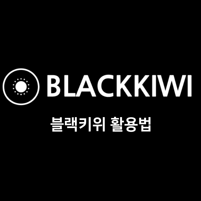  블랙키위 활용법만 잘알아도 방문자수 2배 늘어난다