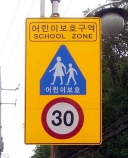 5만원 운전자보험 vs 2만원 자동차특약…당신의 선택은? 5만원 운전자보험 vs 2만원 자동차특약…당신의 선택은?