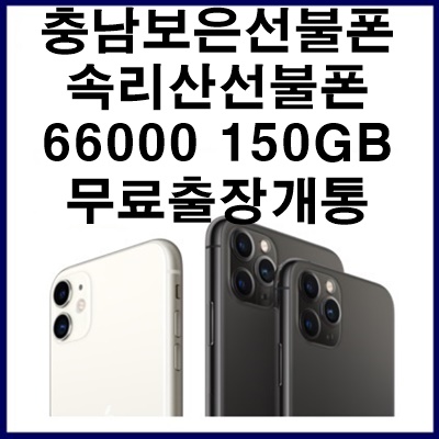  충남 보은선불폰 속리산선불폰 무료출장개통
