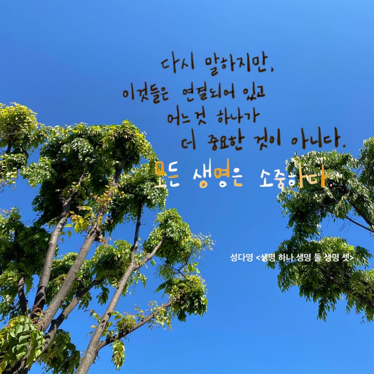 책장 속 한 줄: 문학3 5