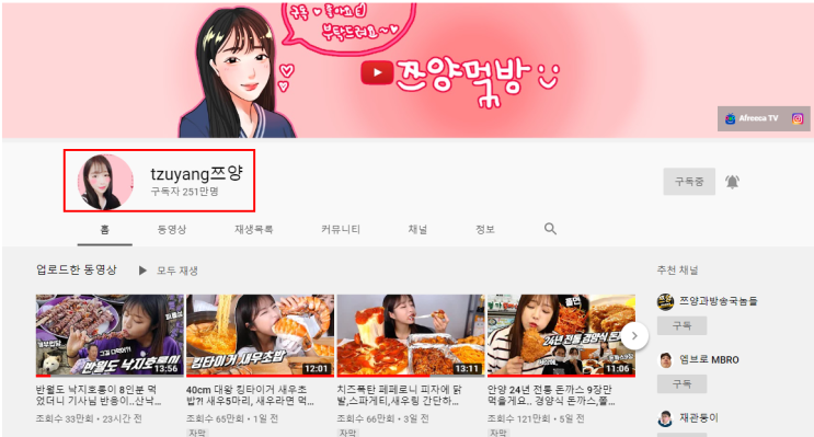  우리나라 먹방 유튜버 순위 2020년 상반기 기준 상위 10위 (노꿈 정리)