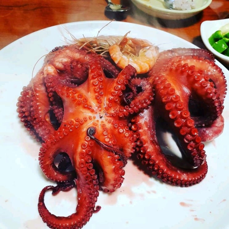  아픈주말 영도에서 즐기기 -엉터리식당 ,신기산업,물꽁식당 영도진주냉면