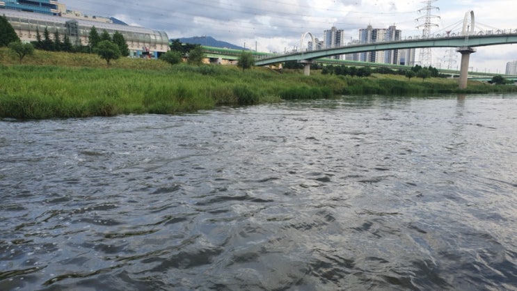 [20.06.14]양산천 저녁 배스