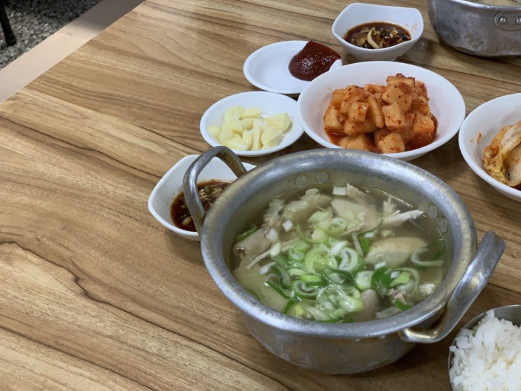  [맛집소개] 명동 /남대문 곰탕 맛집 닭곰탕을 전문으로 하는 노포맛집 닭곰탕 닭진미 (구 강원집) 닭곰탕 무조건 여기~!