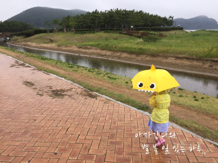  비오는 날 아기와 다대포 해변공원, 해수욕장 가족 나들이 산책