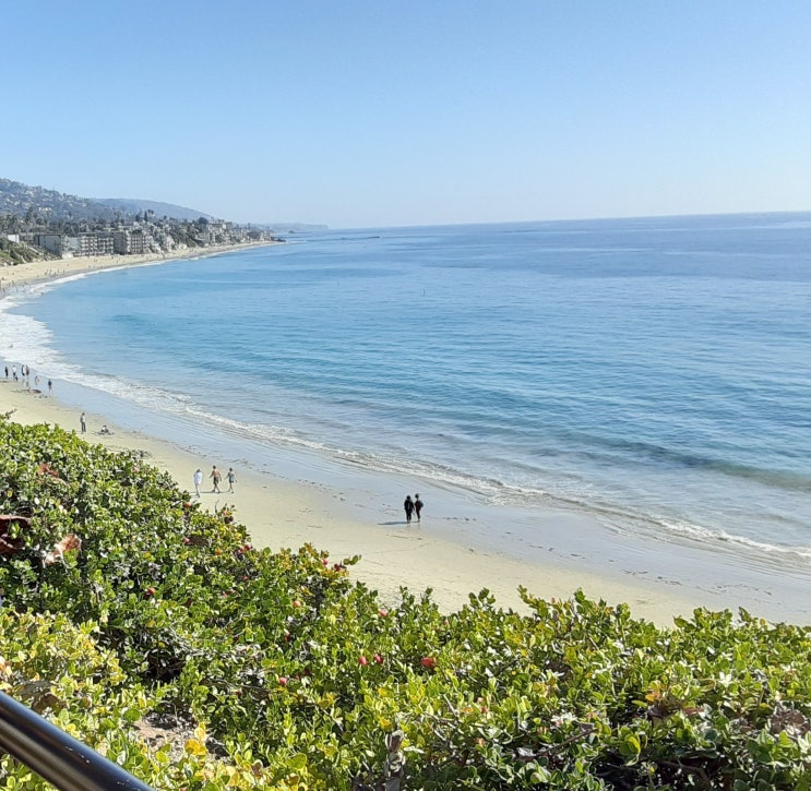  LA 근처 여행 1 | Laguna Beach-Dana Point