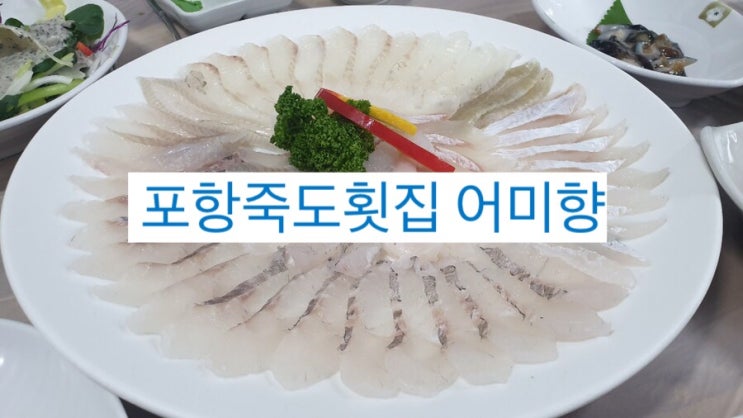  포항 죽도 횟집 어미향