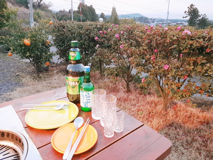  제주도 글램핑, 별헤는밤