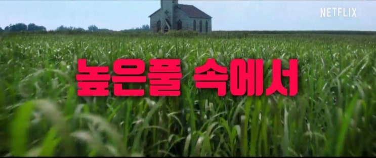 넷플릭스 높은풀 속에서 원작 과 줄거리 결말해석