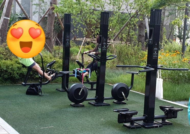  D86 핏플(Fitpl) 운동앱 후기
