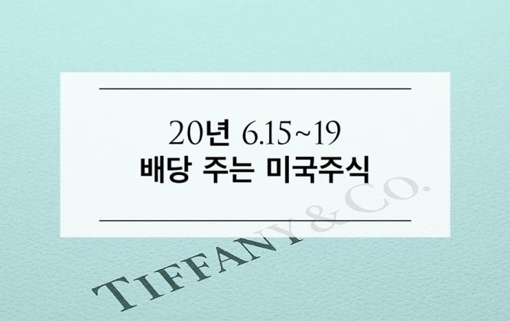  [미국주식] 6.15~19 사면 배당주는 미국 배당주, 6.14 기준 우량주/시총 순위