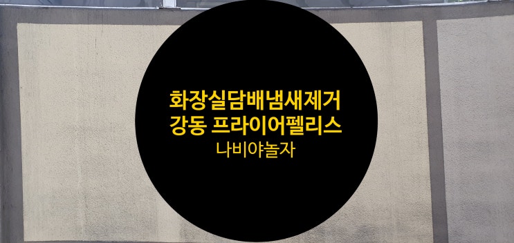  강동 프라이어 팰리스 아파트 화장실 담배냄새 제거 [나비야놀자]