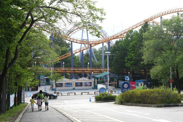  과천 서울랜드 경기 한산한 놀이 공원 연간 회원권, 할인 정보!