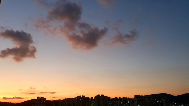 부디 욕심내지 않기를,  욕심내본다.