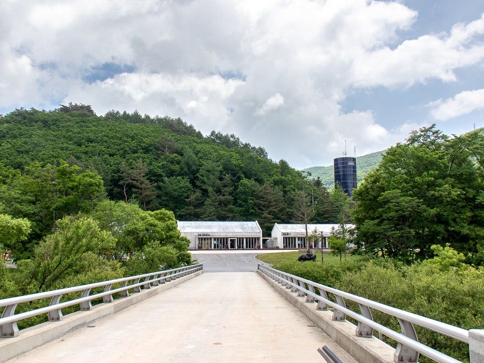 구름속의산책 사진 5