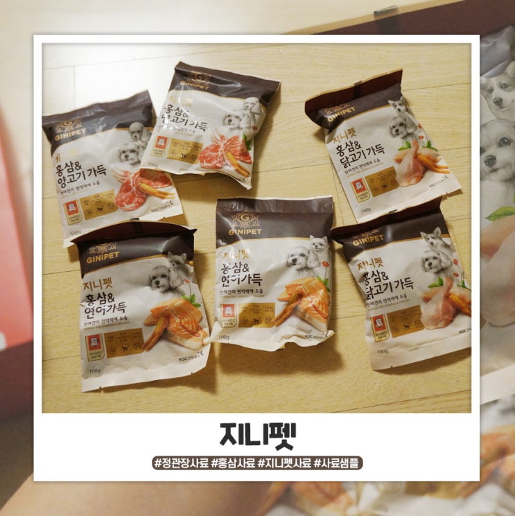 지니펫 정관장 사료 무료샘플 먼저 급여해보세요! 지니펫 정관장 사료 무료샘플 먼저 급여해보세요!