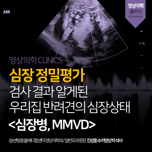  [심장전문진료] 강아지 심장병 (MMVD) (심초 잘 보는 동물병원)