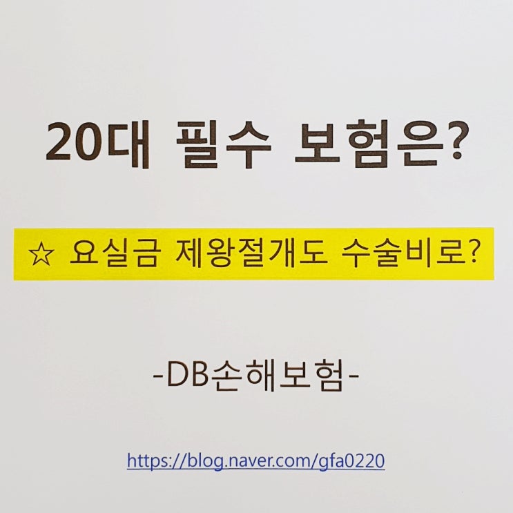  20대 필수 보험은?