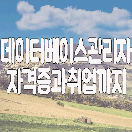  데이터베이스 관리자 : 자격증 소개 및 취업 전망