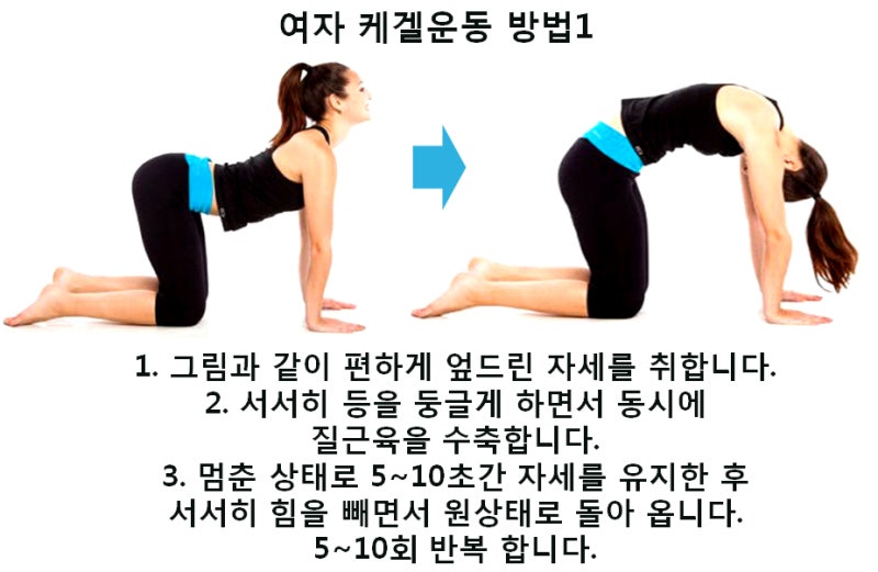 여성 케겔운동기구 주목받는 상황 3