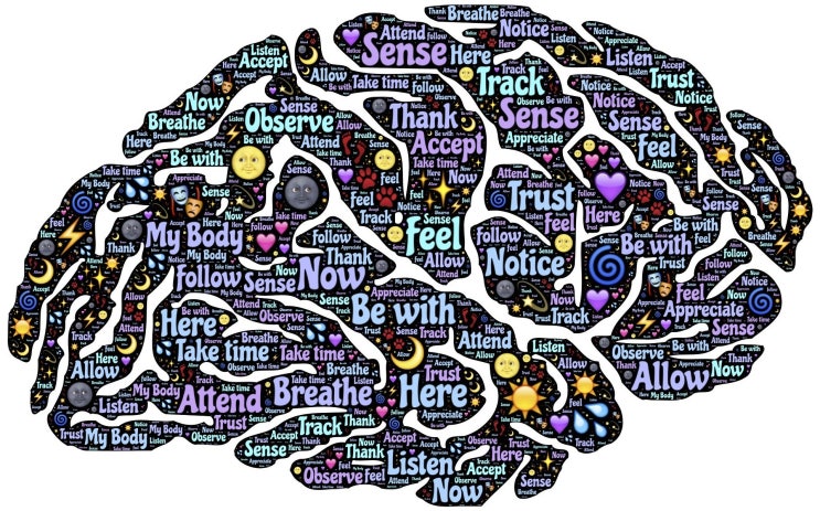 언어를 이해할 수 있도록 도와주는 뇌의 3가지 주요 영역(feat. 청각 피질, 브로카/베르니케, 좌측 하전두회)