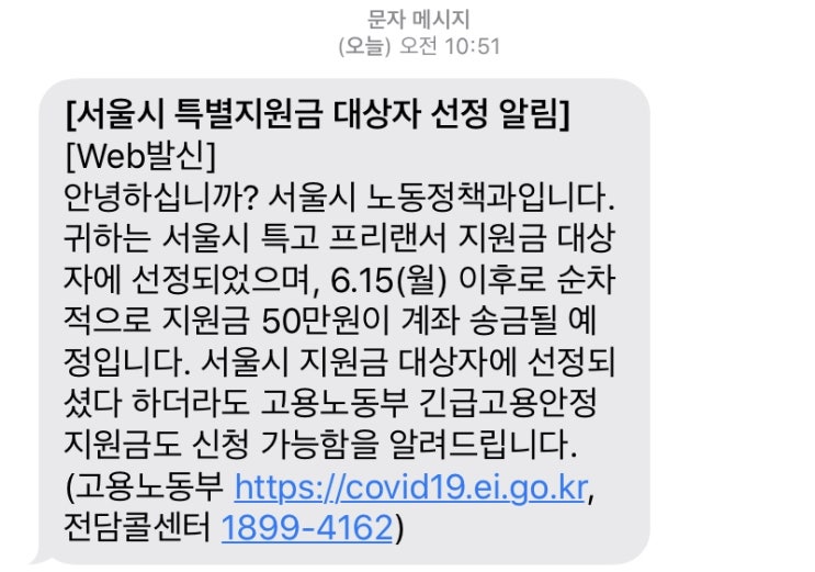 서울시 특별지원금 문자가 왔어요