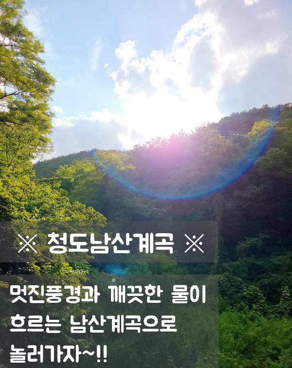  청도남산남산계곡시원한계곡청도계곡나들이