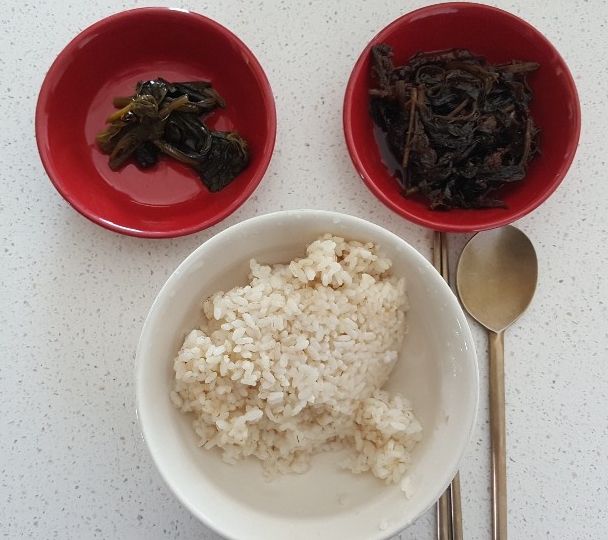  다이어트 일기 중간 점검