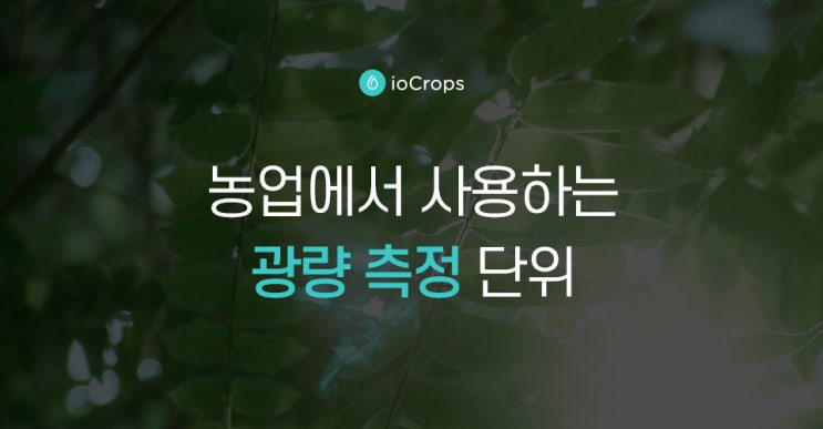  Joule(줄), Watt(와트), μmol(마이크로몰), lux(룩스)?  농업에서 사용하는 광량 측정 단위는?