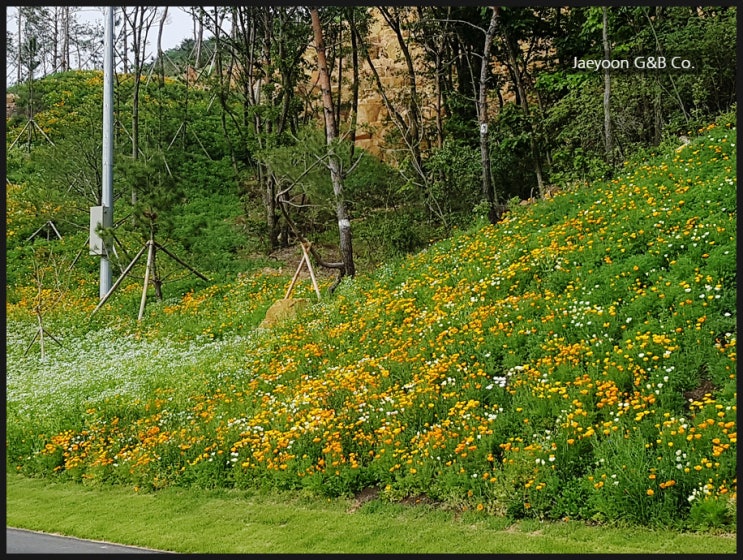  REG친환경복원녹화공법 (REG공법)