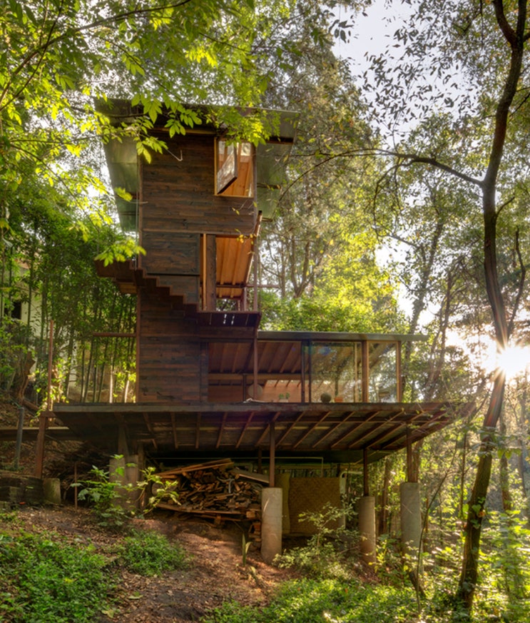 말뚝기초 플랫폼 산비탈 숲 속 나무 집 트리하우스 짓기