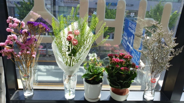  블로, VLLO 동영상 편집 어플 브이로그편