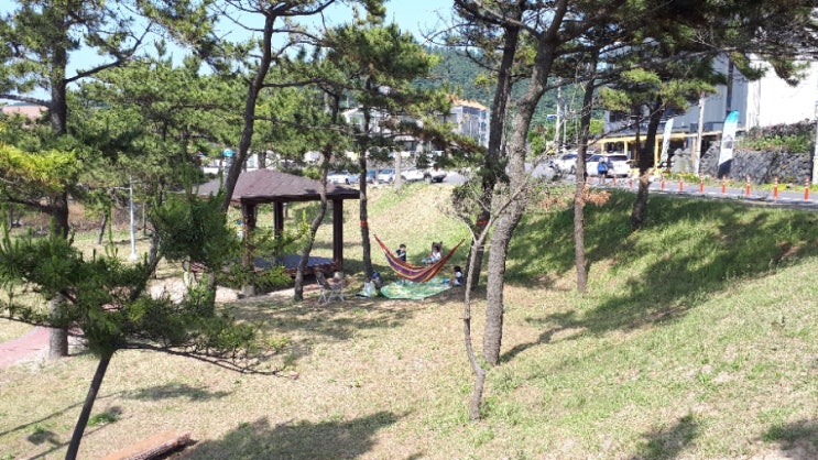  20. 06. 02. 함덕에서...