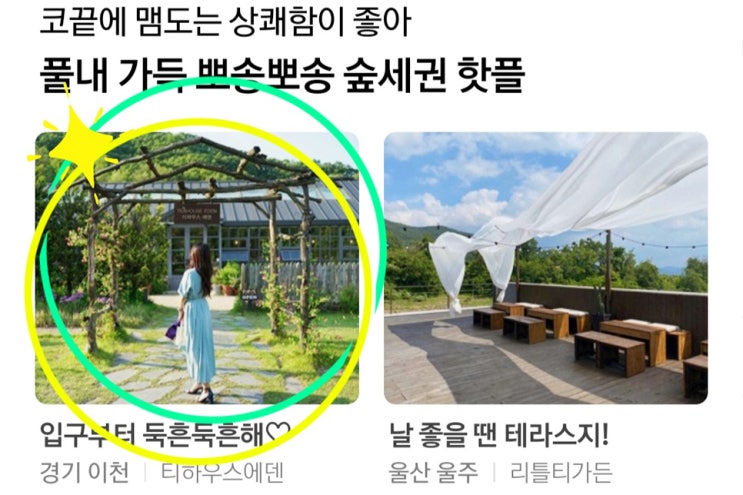  네이버 뭐하지판 메인 기록 #7
